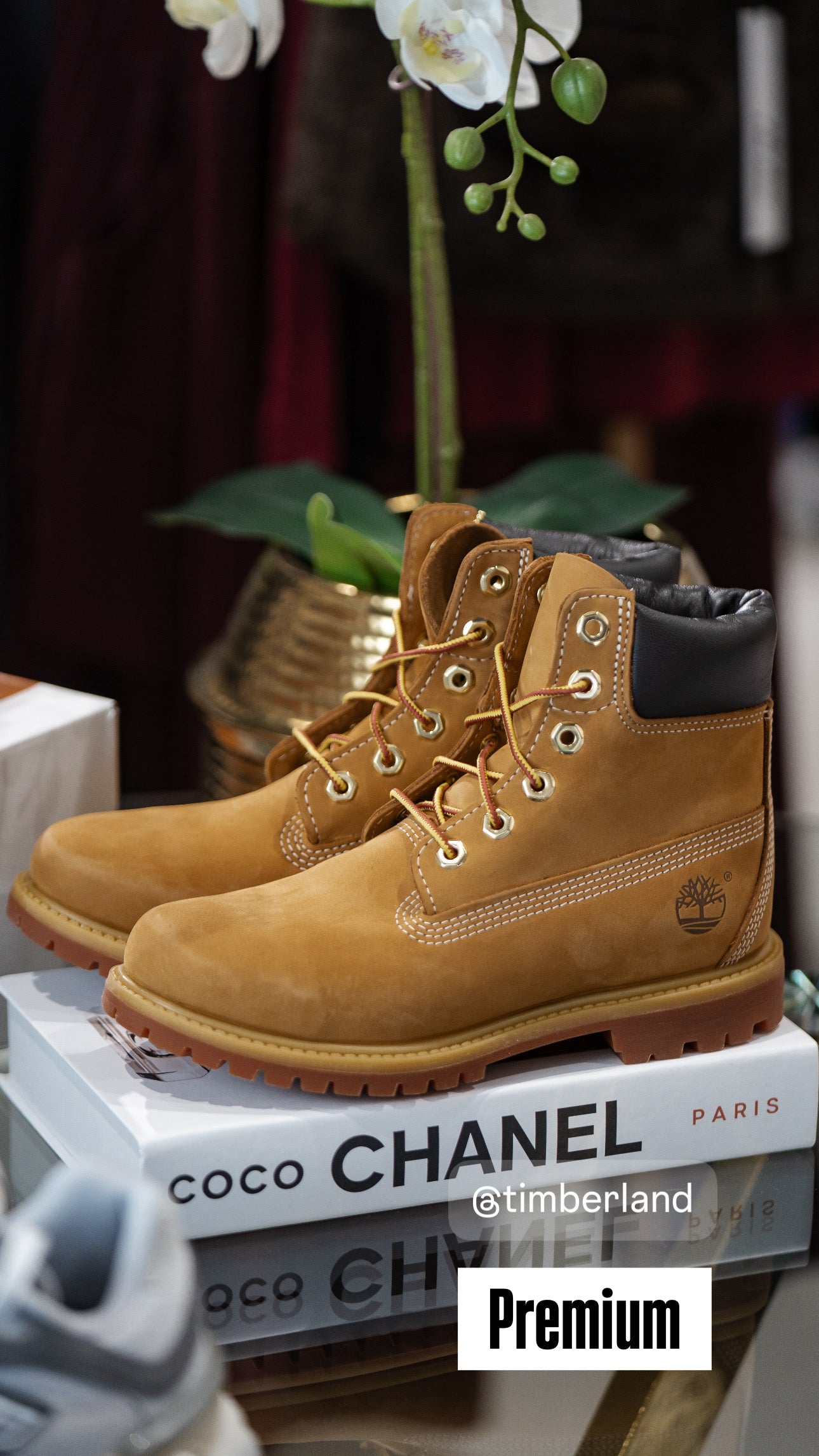 Timberland premium classiche