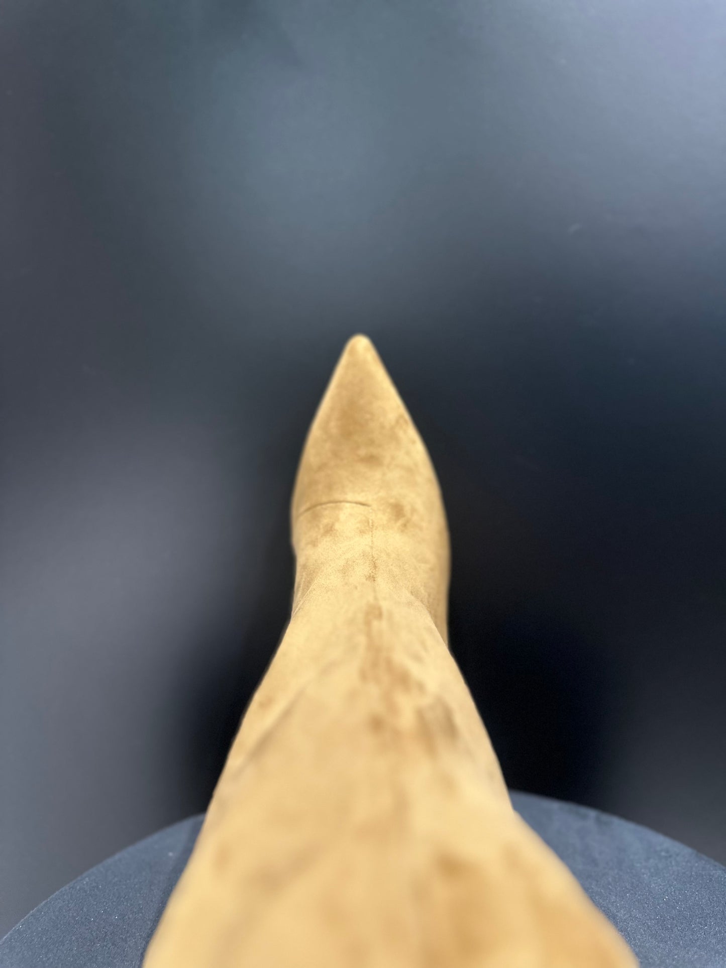 Stivali Camel Camoscio